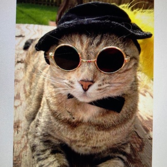 Purrrr⭐️I Found My Hat On Poshmark